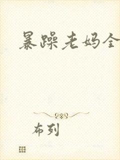 暴躁老妈全集封面