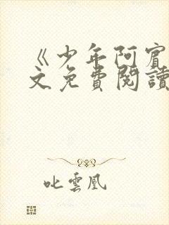 《少年阿宾》全文免费阅读封面