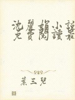 沈丽娟小说全文免费阅读最新章节