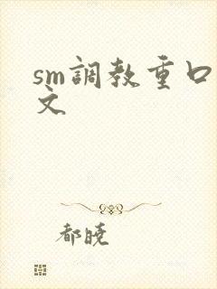 sm调教重口h文封面