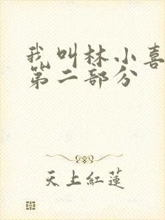我叫林小喜乖宝第二部分