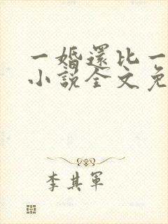 一婚还比一婚高小说全文免费阅读