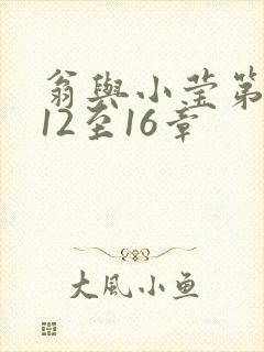 翁与小莹第十部12至16章封面