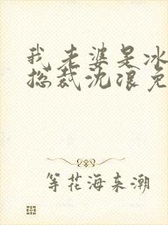 我老婆是冰山女总裁沈浪免费阅读