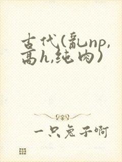 古代(乱np,高h,纯肉)