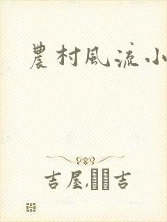 农村风流小说