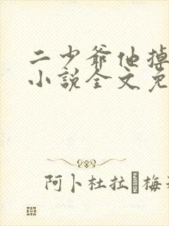 二少爷他掉马了小说全文免费阅读
