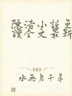 陈浩小说免费阅读全文最新