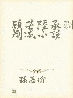 顾芒陆承洲 未删减小说
