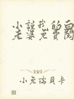 小说我的白富美老婆免费阅读原文封面