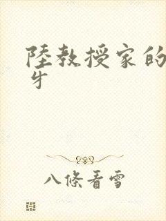 陆教授家的小月牙
