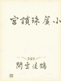 宫锁珠帘小说