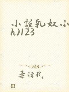 小说乳奴小小(h)123