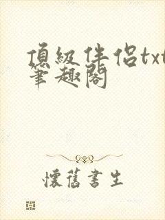 顶级伴侣txt笔趣阁
