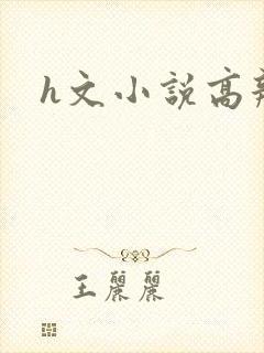 h文小说高辣