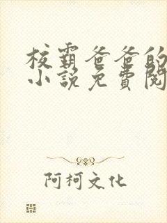 校霸爸爸的秘密小说免费阅读