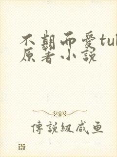 不期而爱tul原著小说