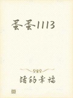 蛋蛋1113