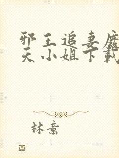 邪王追妻废材逆天小姐下载txt