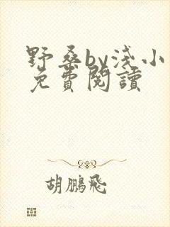 野桑by浅小说免费阅读