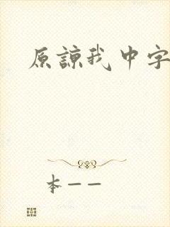 原谅我中字封面