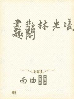 尽欢林光曦 笔趣阁封面