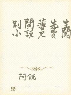 别闹薄先生正版小说免费阅读