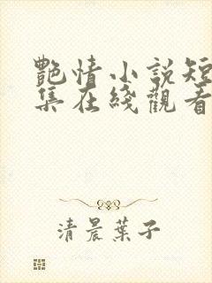 艳情小说短篇合集在线观看