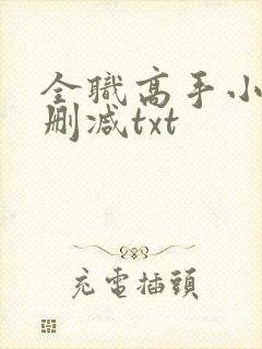 全职高手小说无删减txt