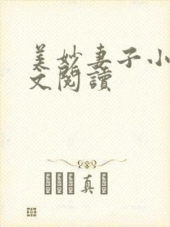 美妙妻子小说全文阅读