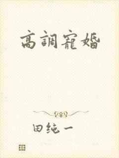 高调宠婚