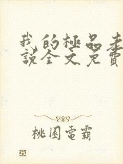 我的极品老婆小说全文免费阅读