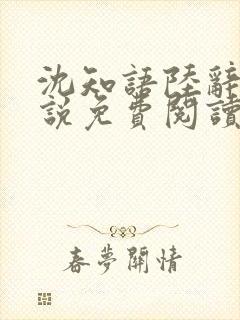 沈知语陆辞衍小说免费阅读封面