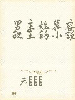 男主姓慕容是摄政王的小说