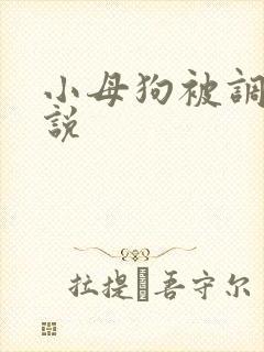 小母狗被调教小说封面