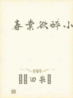 春棠欲醉小说
