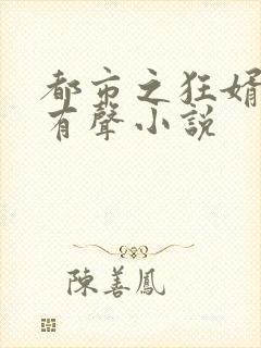 都市之狂婿战神有声小说