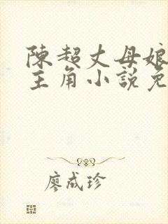 陈超丈母娘赵悦主角小说免费阅读