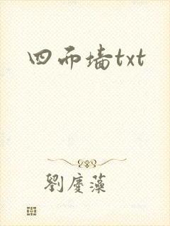 四面墙txt