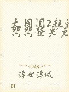 大团圆2亲情会闪闪发光免费