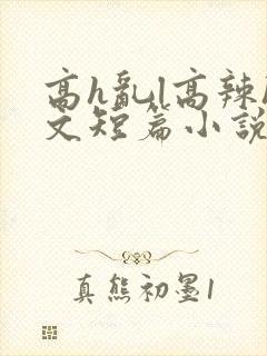 高h乱l高辣h文短篇小说