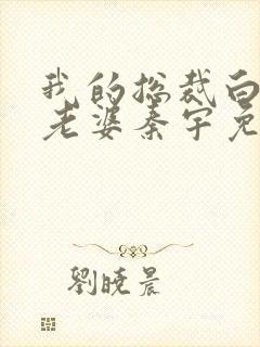 我的总裁白富美老婆秦宇免费阅读全文小说