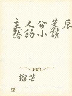 主人公叶辰萧初然的小说