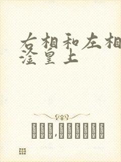 右相和左相一起淦皇上封面