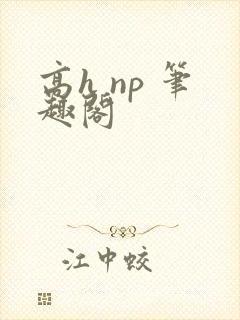 高h np 笔趣阁