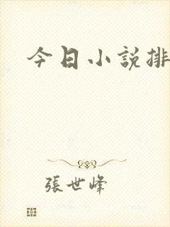 今日小说排行榜封面