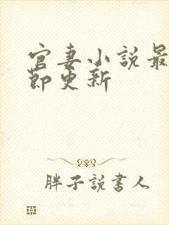 官妻小说最新章节更新封面
