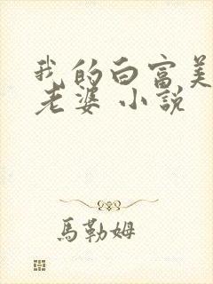我的白富美总裁老婆 小说封面