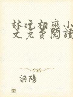 林晚相恋小说全文免费阅读