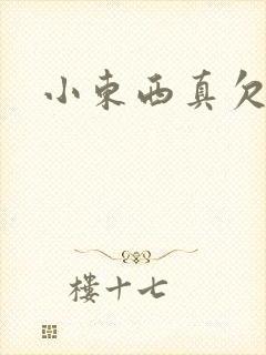 小东西真欠弄